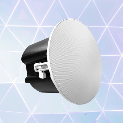 SC10 IP van het het Systeem de Binnen10w SLOKJE Toegelaten Plafond van de PAspreker Sprekers 100db